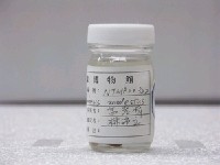 藏品(彈塗魚)的圖片